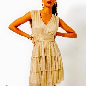 Lilly Pulitzer Faye Dress size large